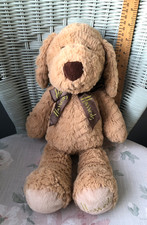 Harrods puppy dog for sale  WELLINGTON