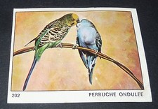 202 panini bird d'occasion  Expédié en Belgium