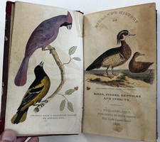 Natural history 1828 for sale  Dover