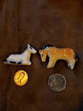 Miniature horse horses for sale  Philadelphia