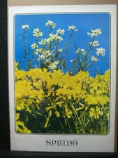 Spring flowers vintage for sale  Torrance