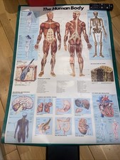 poster body for sale poster body for sale HUDDERSFIELD