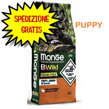 Monge cane crocchetta usato  San Felice Circeo