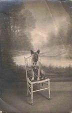 Old postcard photograph d'occasion  Expédié en Belgium