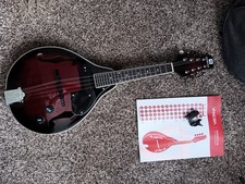 Vangoa mandolin style for sale  Lincoln