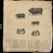 Antique litho lithography for sale  Petersburg