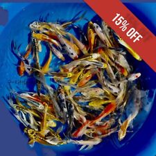 Lot assorted live for sale  Lima