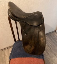 Geliebter stübben dressur gebraucht kaufen Geliebter stübben dressur gebraucht kaufen  Berlin