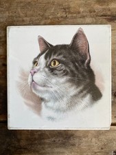 Carreau villeroy boch d'occasion Carreau villeroy boch d'occasion  Laon