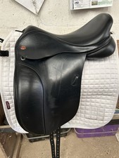 Kent masters pony for sale  SOUTHAMPTON