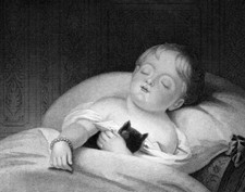Sleeping child toddler for sale  New Providence