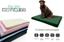 Dog bed cushion for sale  MANCHESTER