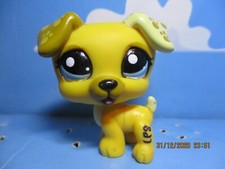 Petshop chien jack d'occasion  Expédié en Belgium