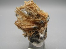 Top goldfarbene rutil gebraucht kaufen  Osterode