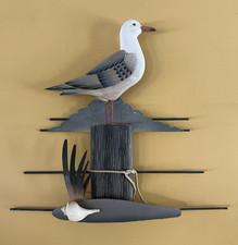 Seagull coastal bird for sale  Cincinnati