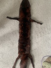 Vintage real fur for sale  HEREFORD