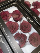 Preserved plum purple for sale  YORK