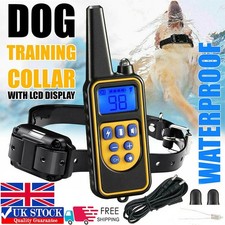 Pet dog training for sale  DUNSTABLE