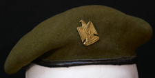 insignes beret d'occasion  Expédié en Belgium