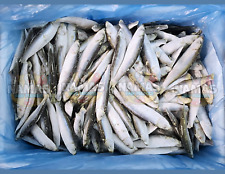 Frozen quality whole for sale  BOLTON