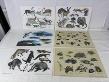 Vintage prints mammal for sale  LAUNCESTON