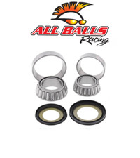 Kit cuscinetti serie usato  Oria