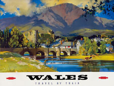 Tt98 vintage wales for sale  UK