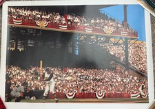 Pittsburgh pirates roberto for sale  Hutto