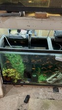 Gallon tank for sale  Gilbert