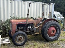 Massey ferguson for sale  HOLSWORTHY