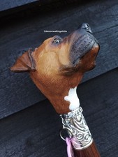 Miss roxy staffordshire for sale  HYDE