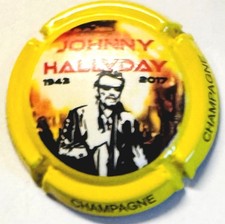Capsules champagne generique d'occasion  Reims