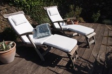 Indian ocean garden for sale  TOTNES