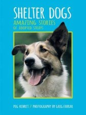 Shelter dogs amazing for sale  Montgomery
