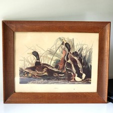 Vintage mallard duck for sale  Ripley