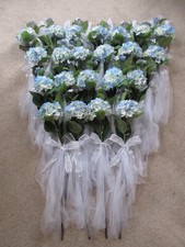 Lot blue hydrangea for sale  Clinton