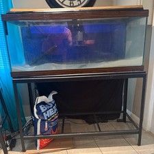 40 gallon fish tank colorado for sale 40 gallon fish tank colorado for sale Clinton