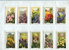 Wild flowers 1939 for sale  SWINDON