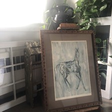 Horse stallion henri for sale  Long Branch