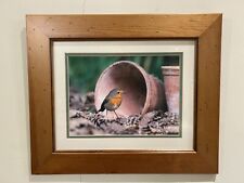 Framed photograph robin for sale  NANTWICH