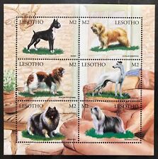 Lesotho dogs stamps for sale  Rancho Cordova