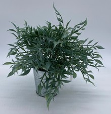 Faux fun green for sale  Dubuque