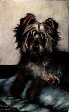 Pet dogs yorkshire usato  Cassano Allo Ionio