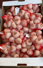 Bulbi aglio rosso usato  Andria