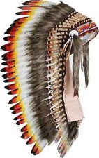 Native american indian for sale  GLASGOW