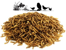 Dried mealworm worms for sale  WOLVERHAMPTON