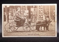 Rare cdv southern for sale  Lawrence