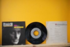 Ludwig hirsch nelli gebraucht kaufen  München