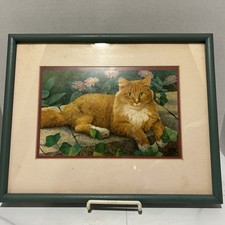 Orange tabby cat for sale  Ashtabula