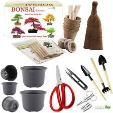 Bonsai tree kit for sale  WOLVERHAMPTON